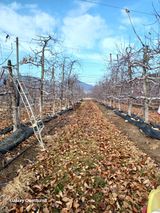 팜모닝 2월 농사 계획 공유해요·참여글 게시글 이미지