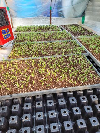 김종옥님의 자유주제 · 자유게시판 작성글 사진