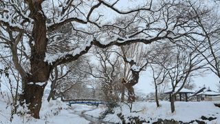 이정운님의 자유주제 · 자유게시판 작성글 사진