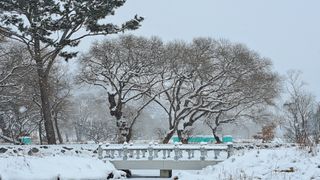 이정운님의 자유주제 · 자유게시판 작성글 사진