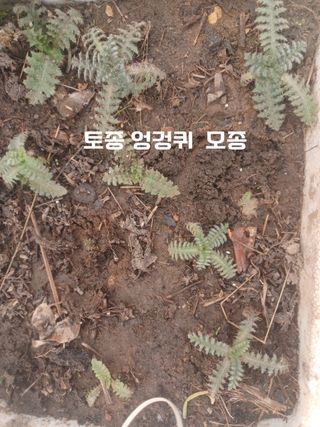 무료지식나눔 팜닥터님의 자유주제 · 사진전 작성글 사진