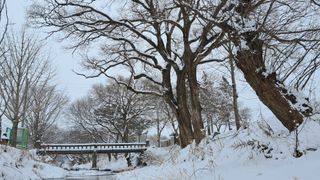 이정운님의 자유주제 · 자유게시판 작성글 사진