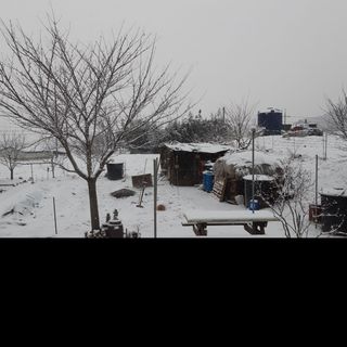 김종옥님의 자유주제 · 자유게시판 작성글 사진