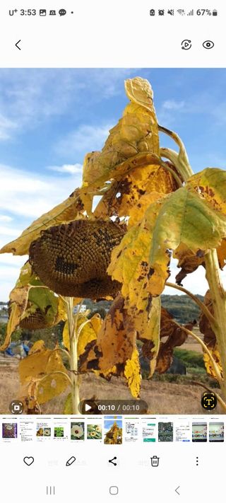정찬영님의 자유주제 · 자유게시판 작성글 사진