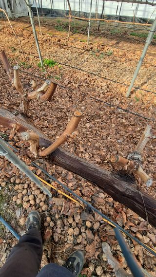 모포리흰개 님의 자유주제 · 자유게시판 작성글 사진