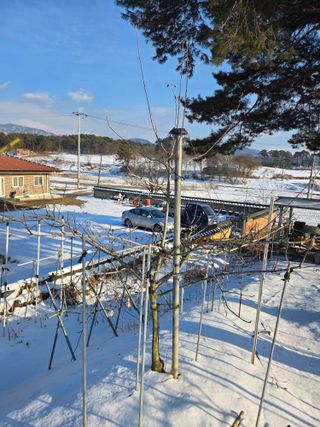 자연인님의 자유주제 · 자유게시판 작성글 사진