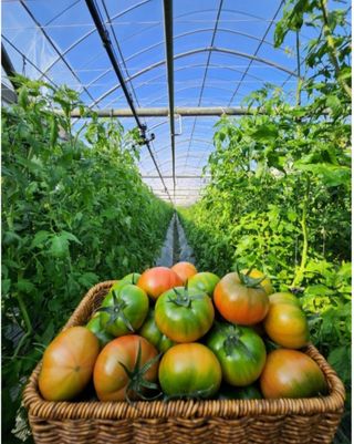 정길영님의 작성글 사진