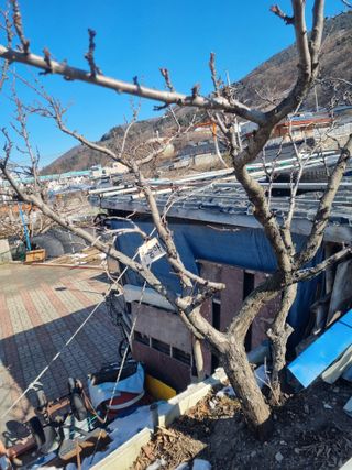 김용대님의 자유주제 · 자유게시판 작성글 사진
