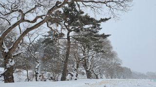 이정운님의 자유주제 · 자유게시판 작성글 사진