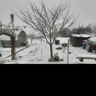 김종옥님의 자유주제 · 자유게시판 작성글 사진