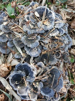 대봉감님의 자유주제 · 사진전 작성글 사진