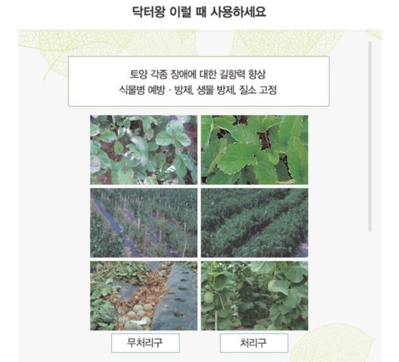 대산농사대장님의 장터 판매 상품 [닥터왕비료3kg 식물장애 길항 미생물제제 특허비] 첨부 사진