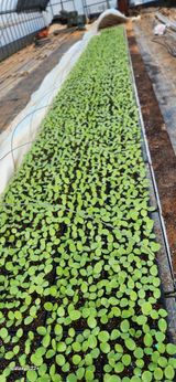 팜모닝 자유주제·자유게시판 게시글 이미지