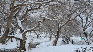 이정운님의 자유주제 · 자유게시판 작성글 사진