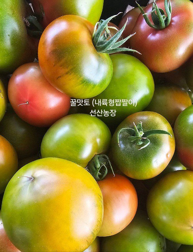 장터 상품 [꿀맛토 2kg] 썸네일