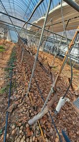 팜모닝 자유주제·자유게시판 게시글 이미지