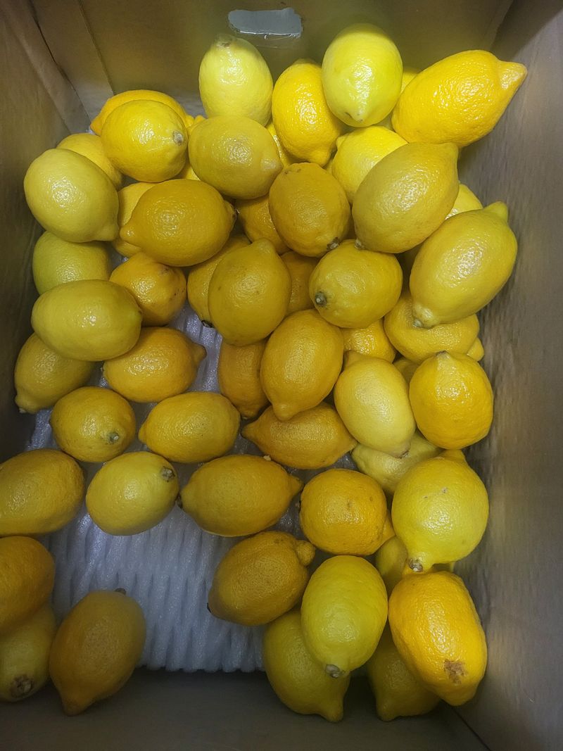 장금이1님의 장터 판매 상품 [레몬퓨레 청 1.2kg  2병  ] 첨부 사진