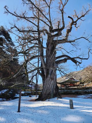 MSG0074님의 자유주제 · 자유게시판 작성글 사진