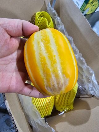 써니네님의 작성글 사진