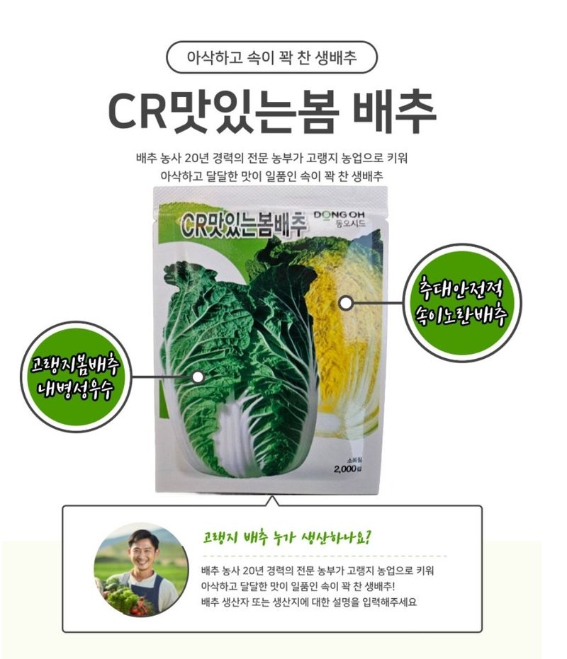 대산농사대장님의 장터 판매 상품 [CR 맛있는 봄배추 2000립 ] 첨부 사진