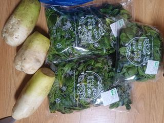 삼성농산님의 자유주제 · 자유게시판 작성글 사진