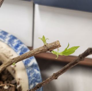 정미리님의 자유주제 · 자유게시판 작성글 사진