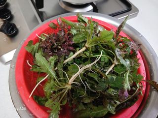 금동이네님의 자유주제 · 자유게시판 작성글 사진