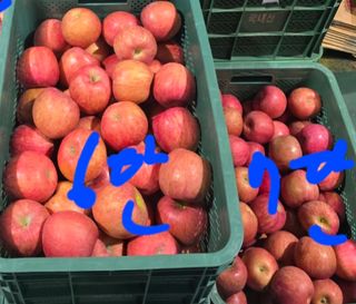 써니네님의 작성글 사진