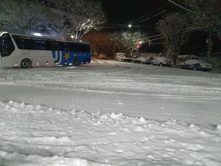 김양석님의 자유주제 · 자유게시판 작성글 사진