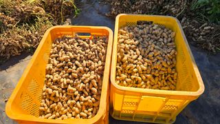 황규복(달구지)님의 자유주제 · 자유게시판 작성글 사진