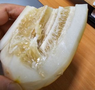 써니네님의 작성글 사진