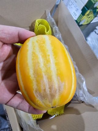 써니네님의 작성글 사진