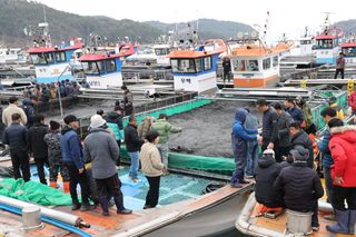 국중선님의 자유주제 · 자유게시판 작성글 사진