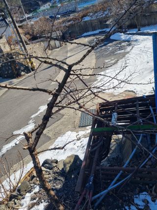 김용대님의 자유주제 · 자유게시판 작성글 사진