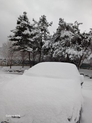 금동이네님의 자유주제 · 자유게시판 작성글 사진
