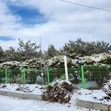 팜모닝 자유주제·자유게시판 게시글 이미지