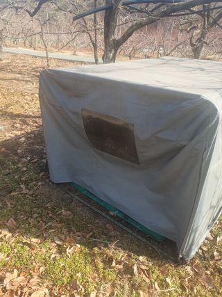 반시님의 작성글 사진