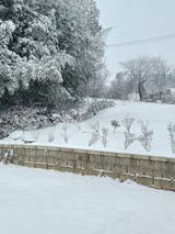 팜모닝 2월 농사 계획 공유해요·참여글 게시글 이미지