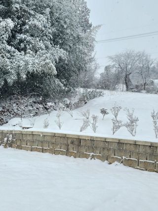 복숭아7883님의 2월 농사 계획 공유해요 · 참여글 작성글 사진