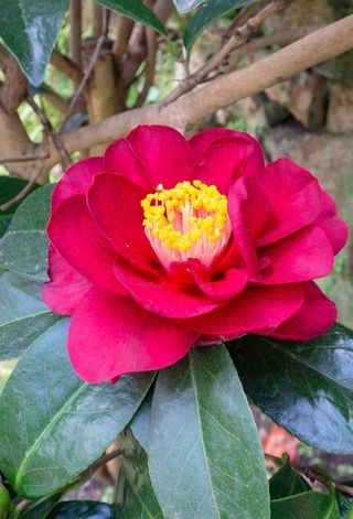 울금박사/빈덕열목사님의 자유주제 · 자유게시판 작성글 사진