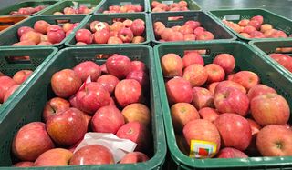 써니네님의 작성글 사진