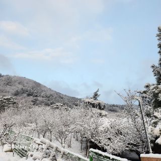 맹태임님의 자유주제 · 자유게시판 작성글 사진