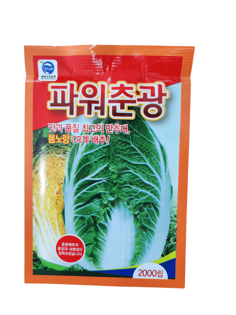 장터 상품 [파워춘광배추씨앗 2000립] 썸네일