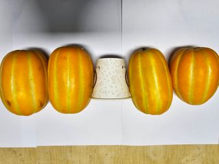 써니네님의 작성글 사진