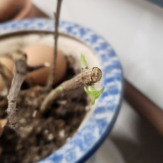 정미리님의 자유주제 · 자유게시판 작성글 사진