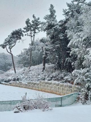복숭아7883님의 2월 농사 계획 공유해요 · 참여글 작성글 사진