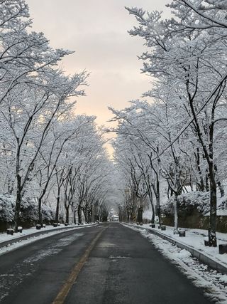 맹태임님의 자유주제 · 자유게시판 작성글 사진