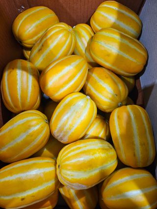 써니네님의 작성글 사진