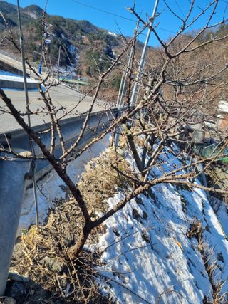 김용대님의 자유주제 · 자유게시판 작성글 사진