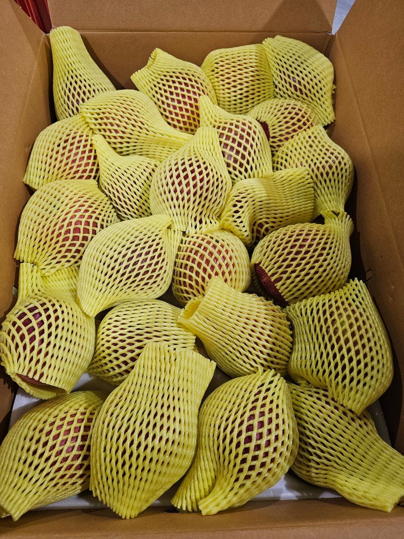 써니네님의 장터 판매 상품 [맛있는 사과 가정용 3키로 30.000원] 첨부 사진